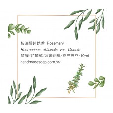 桉油醇迷迭香精油 10ml